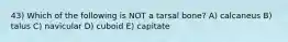 43) Which of the following is NOT a tarsal bone? A) calcaneus B) talus C) navicular D) cuboid E) capitate