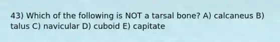 43) Which of the following is NOT a tarsal bone? A) calcaneus B) talus C) navicular D) cuboid E) capitate