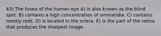 43) The fovea of the human eye A) is also known as the blind spot. B) contains a high concentration of ommatidia. C) contains mostly rods. D) is located in the sclera. E) is the part of the retina that produces the sharpest image.