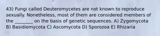 43) Fungi called Deuteromycetes are not known to reproduce sexually. Nonetheless, most of them are considered members of the ________ on the basis of genetic sequences. A) Zygomycota B) Basidiomycota C) Ascomycota D) Sporozoa E) Rhizaria