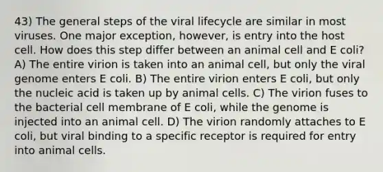 43) The general steps of the viral lifecycle are similar in most viruses. One major exception, however, is entry into the host cell. How does this step differ between an animal cell and E coli? A) The entire virion is taken into an animal cell, but only the viral genome enters E coli. B) The entire virion enters E coli, but only the nucleic acid is taken up by animal cells. C) The virion fuses to the bacterial cell membrane of E coli, while the genome is injected into an animal cell. D) The virion randomly attaches to E coli, but viral binding to a specific receptor is required for entry into animal cells.