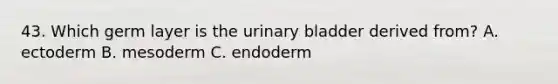 43. Which germ layer is the urinary bladder derived from? A. ectoderm B. mesoderm C. endoderm