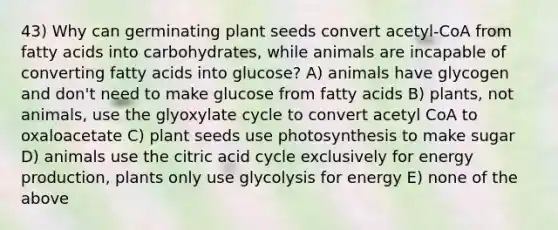 43) Why can germinating plant seeds convert acetyl-CoA from fatty acids into carbohydrates, while animals are incapable of converting fatty acids into glucose? A) animals have glycogen and don't need to make glucose from fatty acids B) plants, not animals, use the glyoxylate cycle to convert acetyl CoA to oxaloacetate C) plant seeds use photosynthesis to make sugar D) animals use the citric acid cycle exclusively for <a href='https://www.questionai.com/knowledge/k3xoUYcii1-energy-production' class='anchor-knowledge'>energy production</a>, plants only use glycolysis for energy E) none of the above