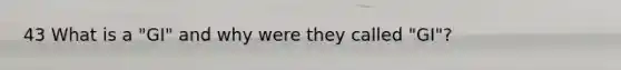 43 What is a "GI" and why were they called "GI"?