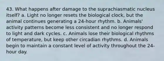 43. What happens after damage to the suprachiasmatic nucleus itself? a. Light no longer resets the biological clock, but the animal continues generating a 24-hour rhythm. b. Animals' activity patterns become less consistent and no longer respond to light and dark cycles. c. Animals lose their biological rhythms of temperature, but keep other circadian rhythms. d. Animals begin to maintain a constant level of activity throughout the 24-hour day.