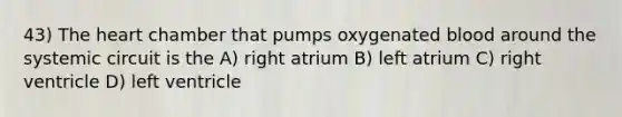 43) The heart chamber that pumps oxygenated blood around the systemic circuit is the A) right atrium B) left atrium C) right ventricle D) left ventricle