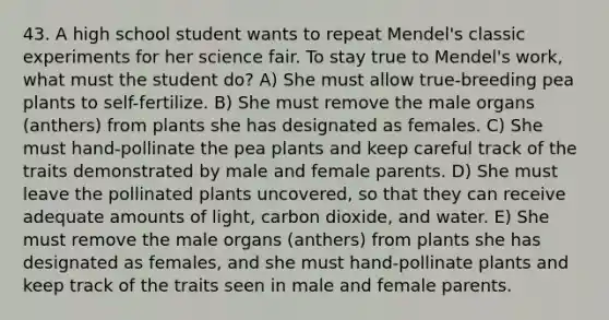 43. A high school student wants to repeat Mendel's classic experiments for her science fair. To stay true to Mendel's work, what must the student do? A) She must allow true-breeding pea plants to self-fertilize. B) She must remove the male organs (anthers) from plants she has designated as females. C) She must hand-pollinate the pea plants and keep careful track of the traits demonstrated by male and female parents. D) She must leave the pollinated plants uncovered, so that they can receive adequate amounts of light, carbon dioxide, and water. E) She must remove the male organs (anthers) from plants she has designated as females, and she must hand-pollinate plants and keep track of the traits seen in male and female parents.