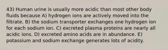 43) Human urine is usually more acidic than most other body fluids because A) hydrogen ions are actively moved into the filtrate. B) the sodium transporter exchanges one hydrogen ion for each sodium ion. C) excreted plasma proteins are nearly all acidic ions. D) excreted amino acids are in abundance. E) potassium and sodium exchange generates lots of acidity.