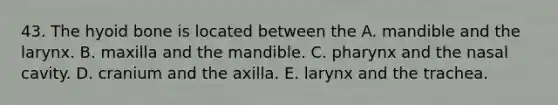 43. The <a href='https://www.questionai.com/knowledge/kVV1acPC4Z-hyoid-bone' class='anchor-knowledge'>hyoid bone</a> is located between the A. mandible and the larynx. B. maxilla and the mandible. C. pharynx and the nasal cavity. D. cranium and the axilla. E. larynx and the trachea.