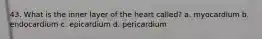 43. What is the inner layer of the heart called? a. myocardium b. endocardium c. epicardium d. pericardium