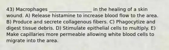 43) Macrophages __________________ in the healing of a skin wound. A) Release histamine to increase blood flow to the area. B) Produce and secrete collagenous fibers. C) Phagocytize and digest tissue debris. D) Stimulate epithelial cells to multiply. E) Make capillaries more permeable allowing white blood cells to migrate into the area.