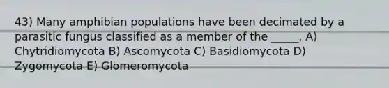 43) Many amphibian populations have been decimated by a parasitic fungus classified as a member of the _____. A) Chytridiomycota B) Ascomycota C) Basidiomycota D) Zygomycota E) Glomeromycota