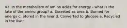 43. In the metabolism of amino acids for energy - what is the fate of the amino group? a. Excreted as urea b. Burned for energy c. Stored in the liver d. Converted to glucose e. Recycled in the liver