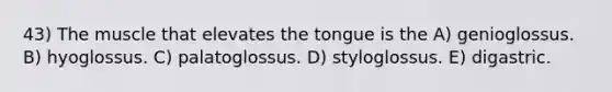 43) The muscle that elevates the tongue is the A) genioglossus. B) hyoglossus. C) palatoglossus. D) styloglossus. E) digastric.