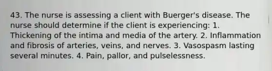 43. The nurse is assessing a client with Buerger's disease. The nurse should determine if the client is experiencing: 1. Thickening of the intima and media of the artery. 2. Inflammation and fibrosis of arteries, veins, and nerves. 3. Vasospasm lasting several minutes. 4. Pain, pallor, and pulselessness.