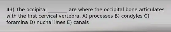 43) The occipital ________ are where the occipital bone articulates with the first cervical vertebra. A) processes B) condyles C) foramina D) nuchal lines E) canals