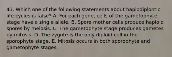 43. Which one of the following statements about haplodiplontic life cycles is false? A. For each gene, cells of the gametophyte stage have a single allele. B. Spore mother cells produce haploid spores by meiosis. C. The gametophyte stage produces gametes by mitosis. D. The zygote is the only diploid cell in the sporophyte stage. E. Mitosis occurs in both sporophyte and gametophyte stages.