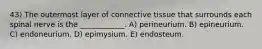 43) The outermost layer of connective tissue that surrounds each spinal nerve is the ____________. A) perineurium. B) epineurium. C) endoneurium. D) epimysium. E) endosteum.