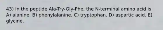 43) In the peptide Ala-Try-Gly-Phe, the N-terminal amino acid is A) alanine. B) phenylalanine. C) tryptophan. D) aspartic acid. E) glycine.