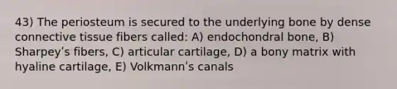 43) The periosteum is secured to the underlying bone by dense connective tissue fibers called: A) endochondral bone, B) Sharpeyʹs fibers, C) articular cartilage, D) a bony matrix with hyaline cartilage, E) Volkmannʹs canals