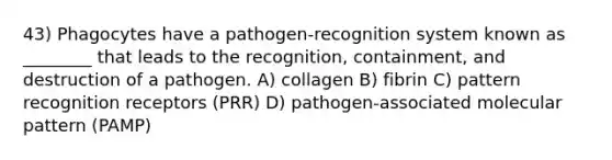 43) Phagocytes have a pathogen-recognition system known as ________ that leads to the recognition, containment, and destruction of a pathogen. A) collagen B) fibrin C) pattern recognition receptors (PRR) D) pathogen-associated molecular pattern (PAMP)