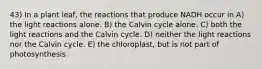 43) In a plant leaf, the reactions that produce NADH occur in A) the light reactions alone. B) the Calvin cycle alone. C) both the light reactions and the Calvin cycle. D) neither the light reactions nor the Calvin cycle. E) the chloroplast, but is not part of photosynthesis