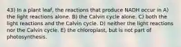 43) In a plant leaf, the reactions that produce NADH occur in A) the light reactions alone. B) the Calvin cycle alone. C) both the light reactions and the Calvin cycle. D) neither the light reactions nor the Calvin cycle. E) the chloroplast, but is not part of photosynthesis.