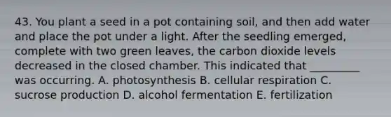 43. You plant a seed in a pot containing soil, and then add water and place the pot under a light. After the seedling emerged, complete with two green leaves, the carbon dioxide levels decreased in the closed chamber. This indicated that _________ was occurring. A. photosynthesis B. cellular respiration C. sucrose production D. alcohol fermentation E. fertilization