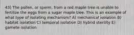 43) The pollen, or sperm, from a red maple tree is unable to fertilize the eggs from a sugar maple tree. This is an example of what type of isolating mechanism? A) mechanical isolation B) habitat isolation C) temporal isolation D) hybrid sterility E) gamete isolation