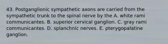 43. Postganglionic sympathetic axons are carried from the sympathetic trunk to the spinal nerve by the A. white rami communicantes. B. superior cervical ganglion. C. gray rami communicantes. D. splanchnic nerves. E. pterygopalatine ganglion.