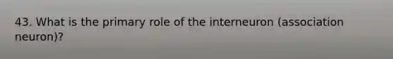43. What is the primary role of the interneuron (association neuron)?