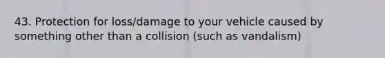 43. Protection for loss/damage to your vehicle caused by something other than a collision (such as vandalism)