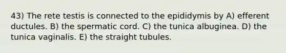 43) The rete testis is connected to the epididymis by A) efferent ductules. B) the spermatic cord. C) the tunica albuginea. D) the tunica vaginalis. E) the straight tubules.