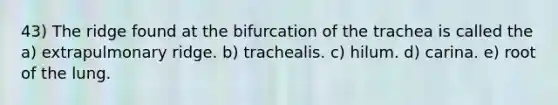 43) The ridge found at the bifurcation of the trachea is called the a) extrapulmonary ridge. b) trachealis. c) hilum. d) carina. e) root of the lung.