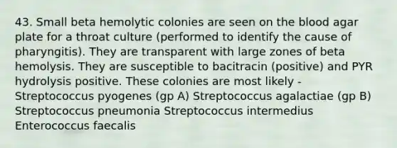 43. Small beta hemolytic colonies are seen on the blood agar plate for a throat culture (performed to identify the cause of pharyngitis). They are transparent with large zones of beta hemolysis. They are susceptible to bacitracin (positive) and PYR hydrolysis positive. These colonies are most likely - Streptococcus pyogenes (gp A) Streptococcus agalactiae (gp B) Streptococcus pneumonia Streptococcus intermedius Enterococcus faecalis