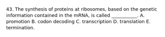 43. The synthesis of proteins at ribosomes, based on the genetic information contained in the mRNA, is called ___________. A. promotion B. codon decoding C. transcription D. translation E. termination.