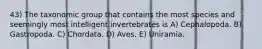 43) The taxonomic group that contains the most species and seemingly most intelligent invertebrates is A) Cephalopoda. B) Gastropoda. C) Chordata. D) Aves. E) Uniramia.