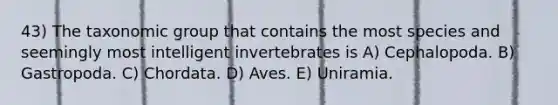 43) The taxonomic group that contains the most species and seemingly most intelligent invertebrates is A) Cephalopoda. B) Gastropoda. C) Chordata. D) Aves. E) Uniramia.