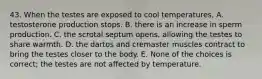 43. When the testes are exposed to cool temperatures, A. testosterone production stops. B. there is an increase in sperm production. C. the scrotal septum opens, allowing the testes to share warmth. D. the dartos and cremaster muscles contract to bring the testes closer to the body. E. None of the choices is correct; the testes are not affected by temperature.