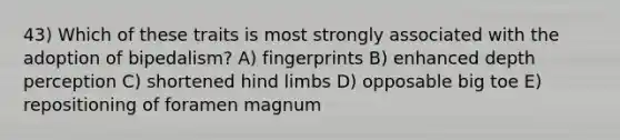 43) Which of these traits is most strongly associated with the adoption of bipedalism? A) fingerprints B) enhanced depth perception C) shortened hind limbs D) opposable big toe E) repositioning of foramen magnum