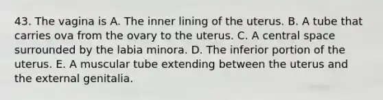 43. The vagina is A. The inner lining of the uterus. B. A tube that carries ova from the ovary to the uterus. C. A central space surrounded by the labia minora. D. The inferior portion of the uterus. E. A muscular tube extending between the uterus and the external genitalia.