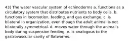 43) The water vascular system of echinoderms a. functions as a circulatory system that distributes nutrients to body cells. b. functions in locomotion, feeding, and gas exchange. c. is bilateral in organization, even though the adult animal is not bilaterally symmetrical. d. moves water through the animal's body during suspension feeding. e. is analogous to the gastrovascular cavity of flatworms.