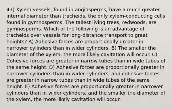 43) Xylem vessels, found in angiosperms, have a much greater internal diameter than tracheids, the only xylem-conducting cells found in gymnosperms. The tallest living trees, redwoods, are gymnosperms. Which of the following is an advantage of tracheids over vessels for long-distance transport to great heights? A) Adhesive forces are proportionally greater in narrower cylinders than in wider cylinders. B) The smaller the diameter of the xylem, the more likely cavitation will occur. C) Cohesive forces are greater in narrow tubes than in wide tubes of the same height. D) Adhesive forces are proportionally greater in narrower cylinders than in wider cylinders, and cohesive forces are greater in narrow tubes than in wide tubes of the same height. E) Adhesive forces are proportionally greater in narrower cylinders than in wider cylinders, and the smaller the diameter of the xylem, the more likely cavitation will occur.