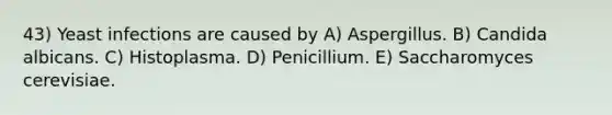 43) Yeast infections are caused by A) Aspergillus. B) Candida albicans. C) Histoplasma. D) Penicillium. E) Saccharomyces cerevisiae.