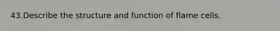 43.​Describe the structure and function of flame cells.