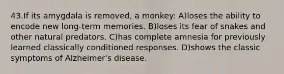 43.If its amygdala is removed, a monkey: A)loses the ability to encode new long-term memories. B)loses its fear of snakes and other natural predators. C)has complete amnesia for previously learned classically conditioned responses. D)shows the classic symptoms of Alzheimer's disease.