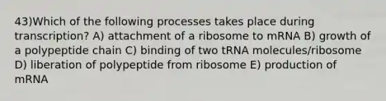 43)​Which of the following processes takes place during transcription? ​​A) attachment of a ribosome to mRNA​​ B) growth of a polypeptide chain​ C) binding of two tRNA molecules/ribosome​ D) liberation of polypeptide from ribosome ​E) production of mRNA