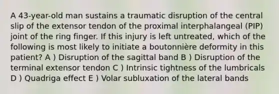 A 43-year-old man sustains a traumatic disruption of the central slip of the extensor tendon of the proximal interphalangeal (PIP) joint of the ring finger. If this injury is left untreated, which of the following is most likely to initiate a boutonnière deformity in this patient? A ) Disruption of the sagittal band B ) Disruption of the terminal extensor tendon C ) Intrinsic tightness of the lumbricals D ) Quadriga effect E ) Volar subluxation of the lateral bands