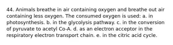 44. Animals breathe in air containing oxygen and breathe out air containing less oxygen. The consumed oxygen is used: a. in photosynthesis. b. in the glycolysis pathway. c. in the conversion of pyruvate to acetyl Co-A. d. as an electron acceptor in the respiratory electron transport chain. e. in the citric acid cycle.