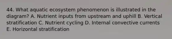 44. What aquatic ecosystem phenomenon is illustrated in the diagram? A. Nutrient inputs from upstream and uphill B. Vertical stratification C. Nutrient cycling D. Internal convective currents E. Horizontal stratification